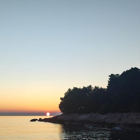 Apartmani Lana Šibenik Exteriör bild